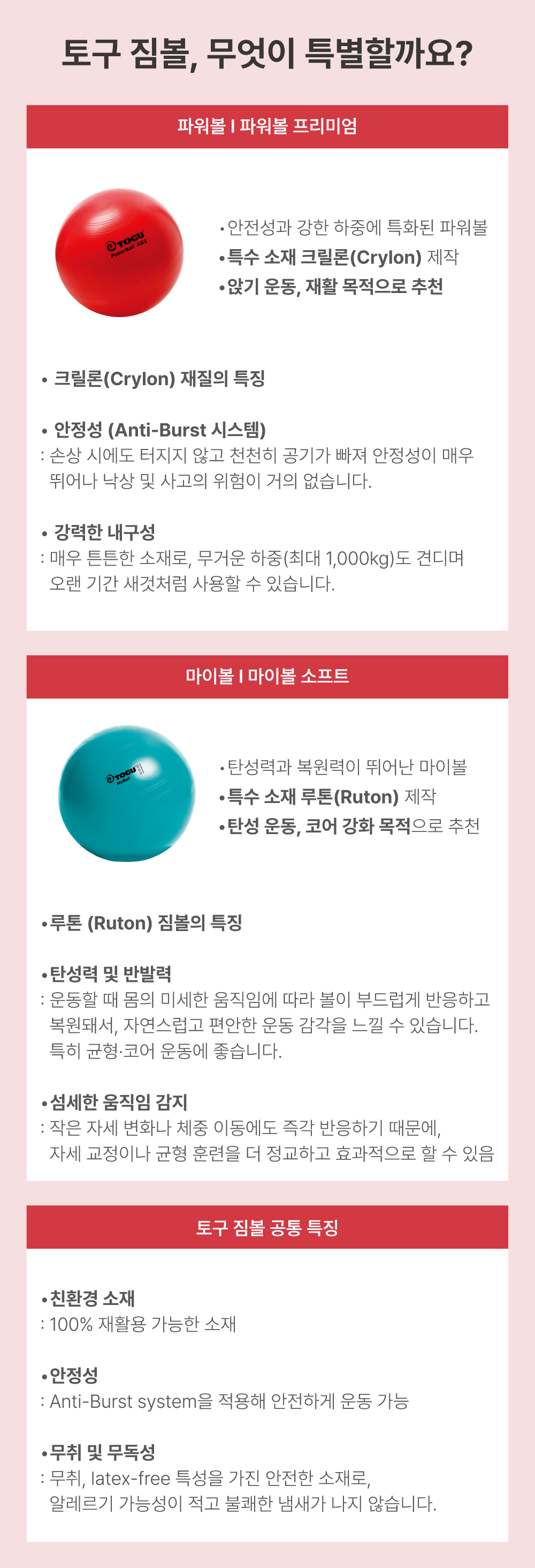 짐볼-차이점.jpg